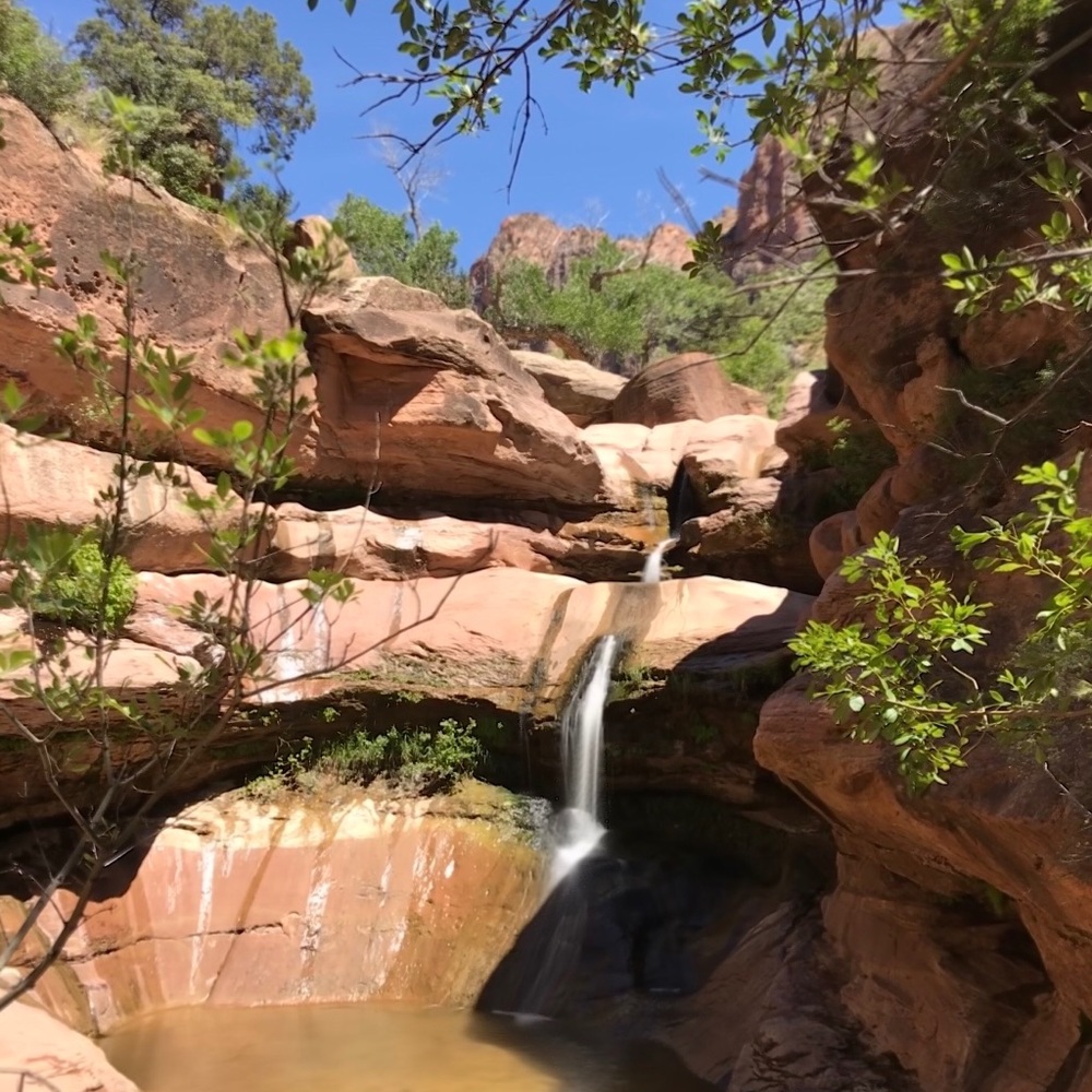 Meet your Posher, Kennedy